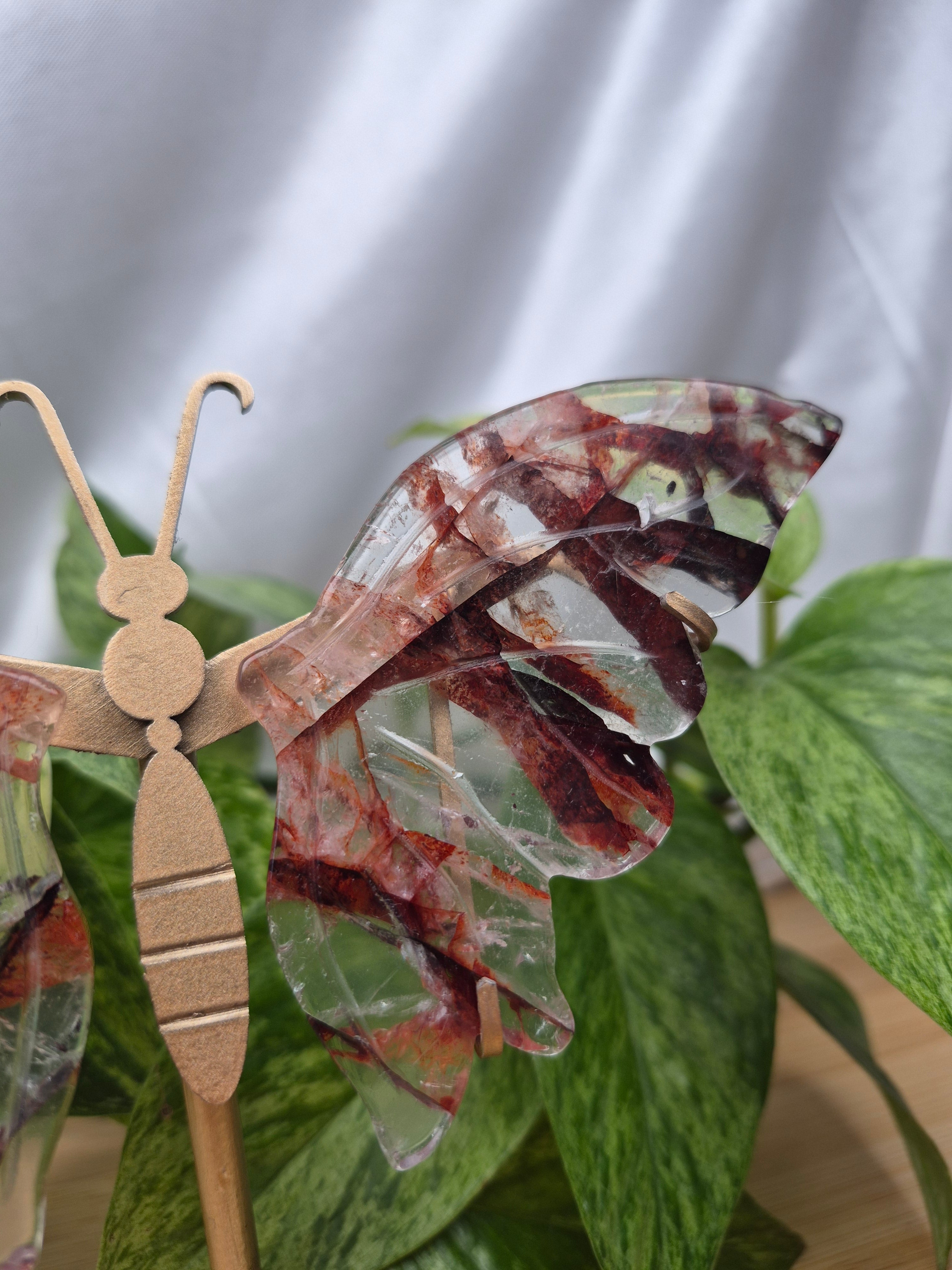 FIRE QUARTZ BUTTERFLY WINGS