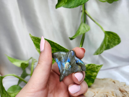 LABRADORITE STINGRAY