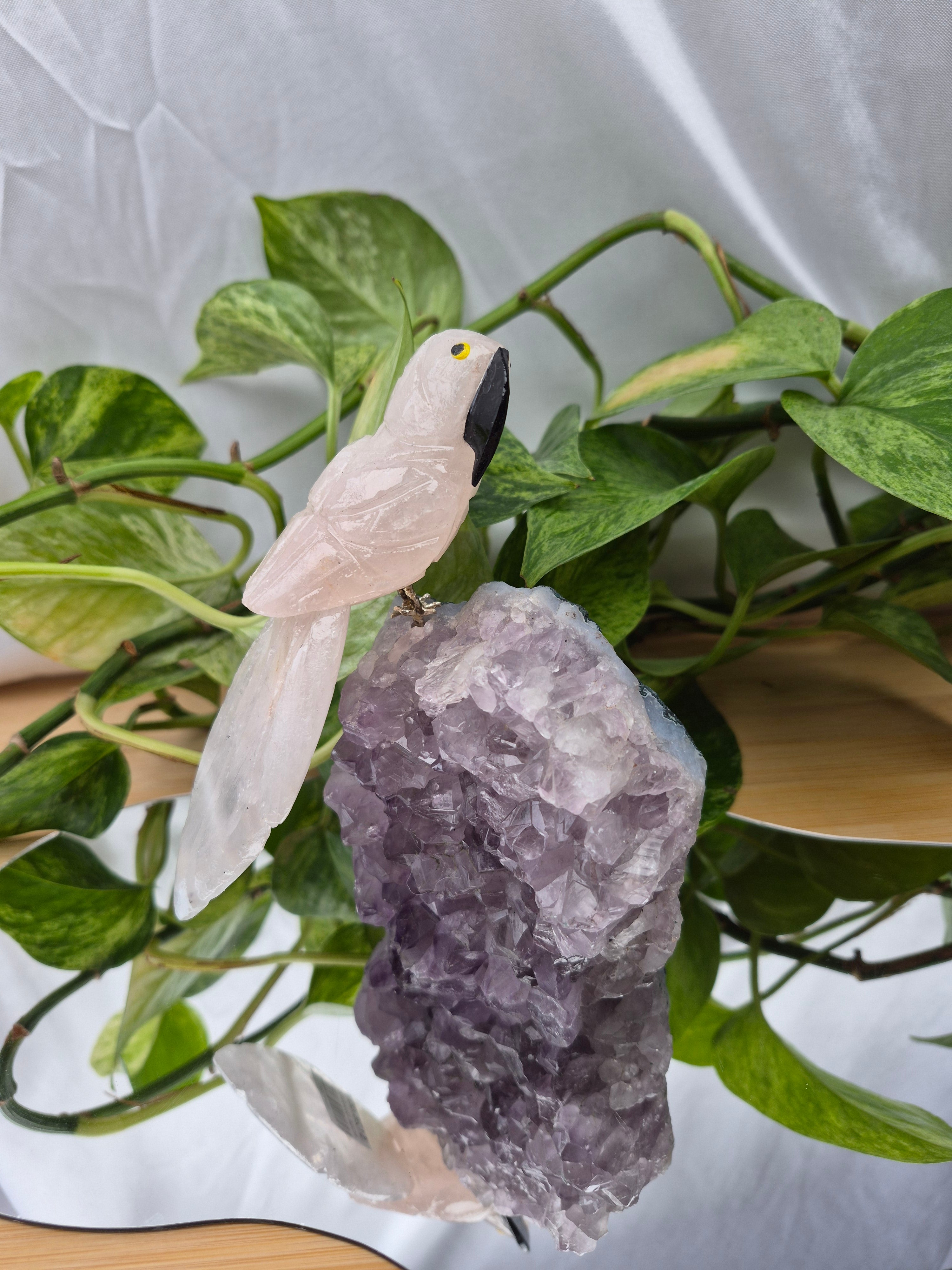 ROSE QUARTZ PARROT ON AMETHYST BASE