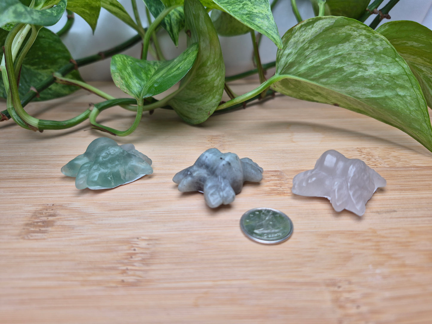 MIXED CRYSTAL SPIDER