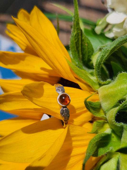 S7 BALTIC AMBER RING .925 STERLING SILVER