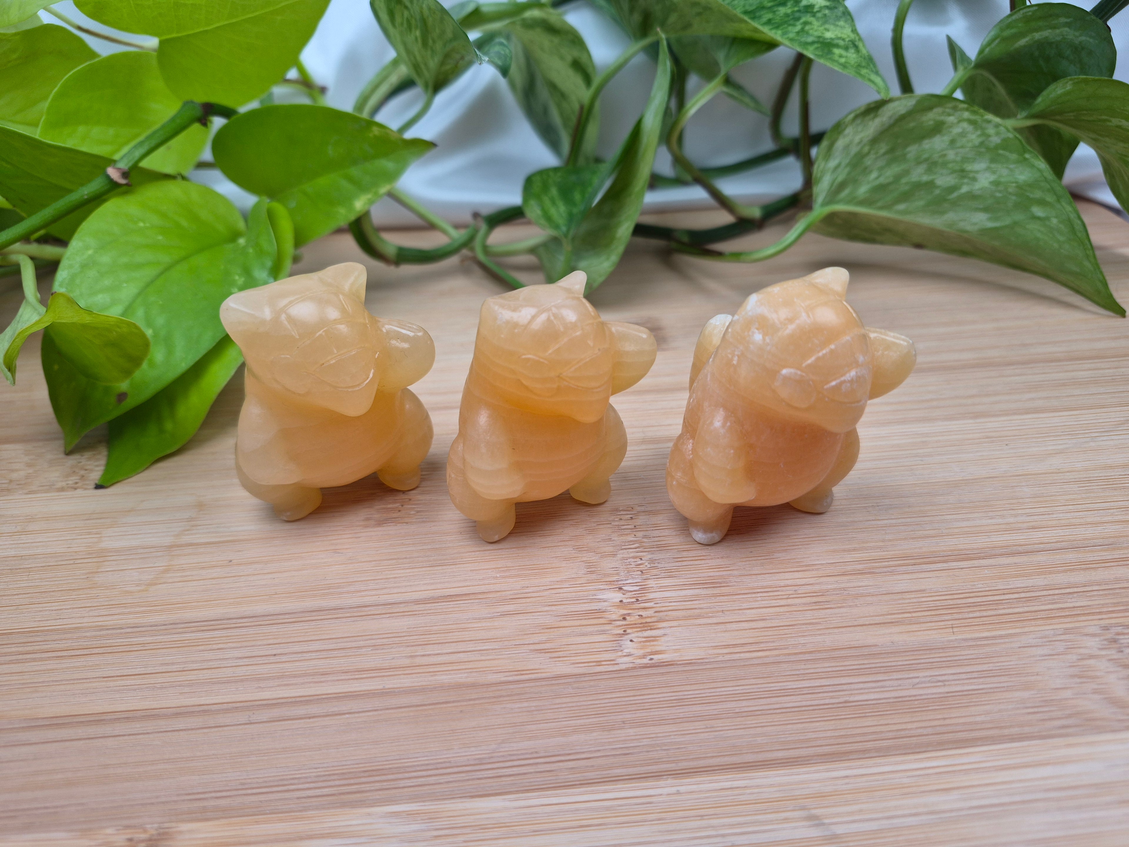ORANGE CALCITE SANDSHREW