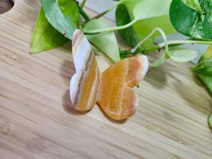 ORANGE CALCITE BUTTERFLY