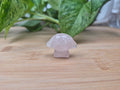 ROSE QUARTZ CINNAMAROLL HK FRIEND