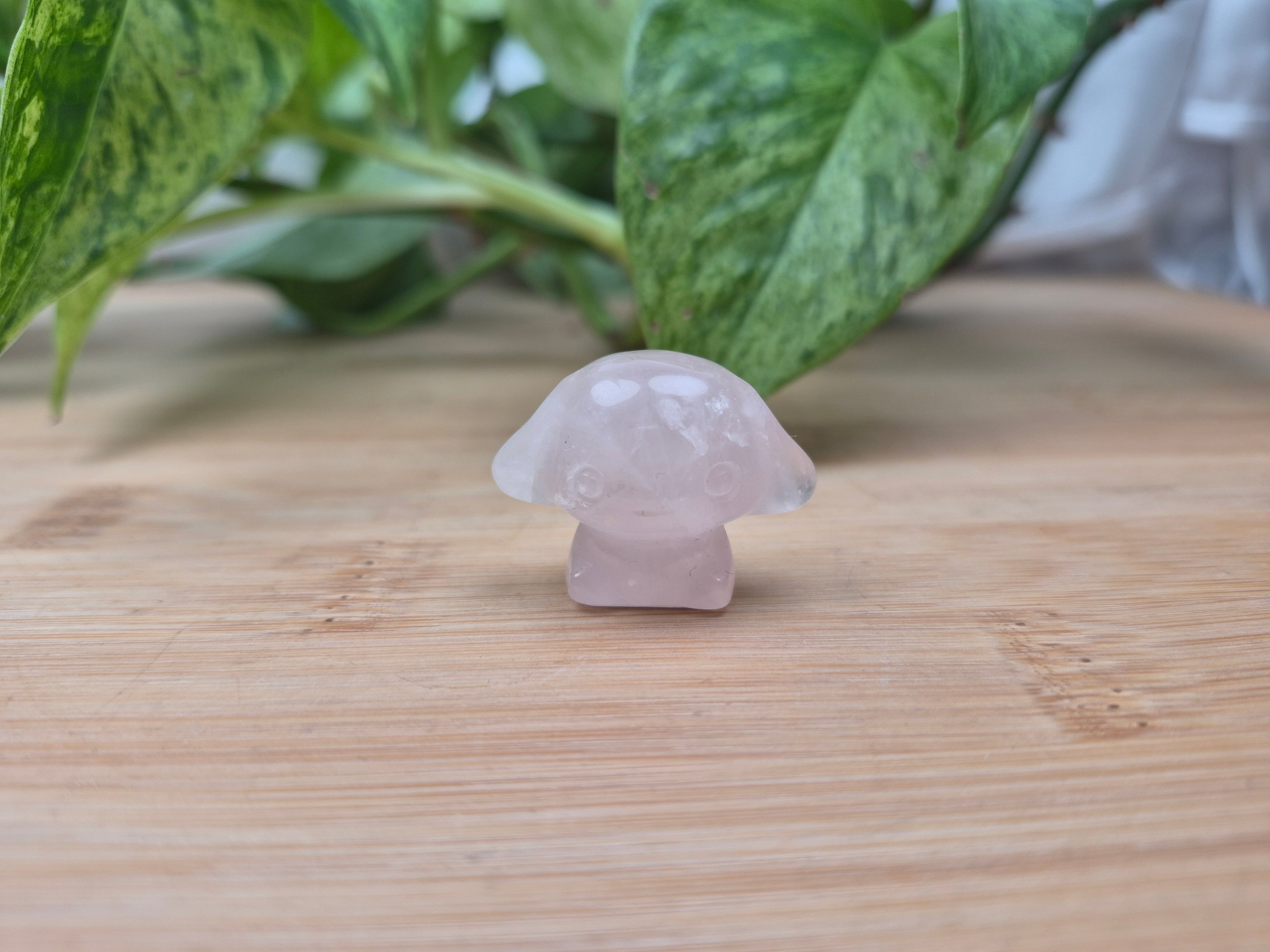 ROSE QUARTZ CINNAMAROLL HK FRIEND