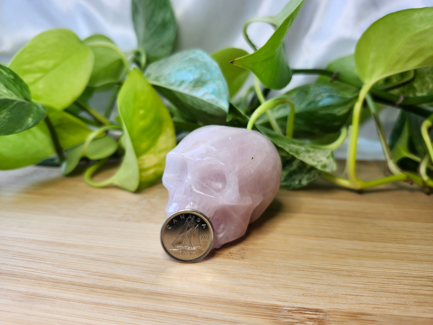 ROSE QUARTZ SKULL