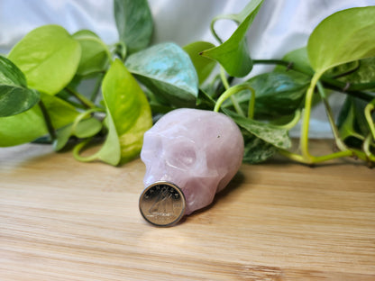 ROSE QUARTZ SKULL
