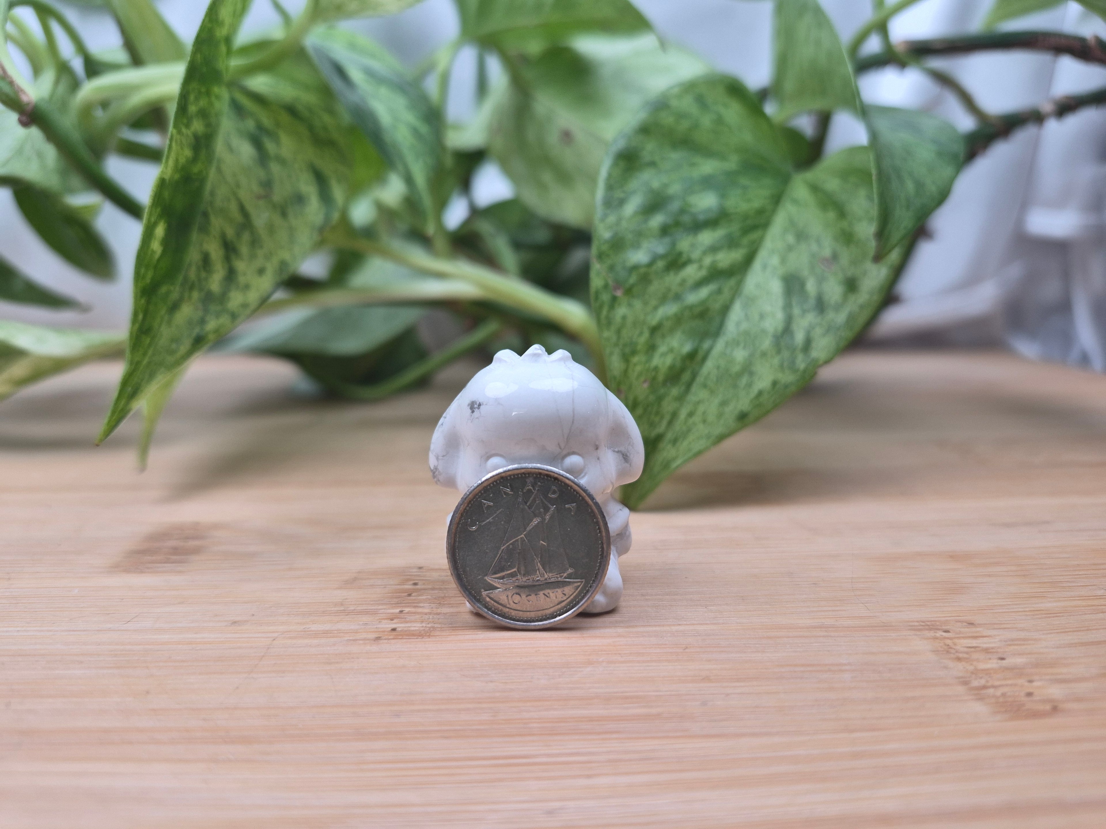 HOWLITE POCHACCO HK FRIEND