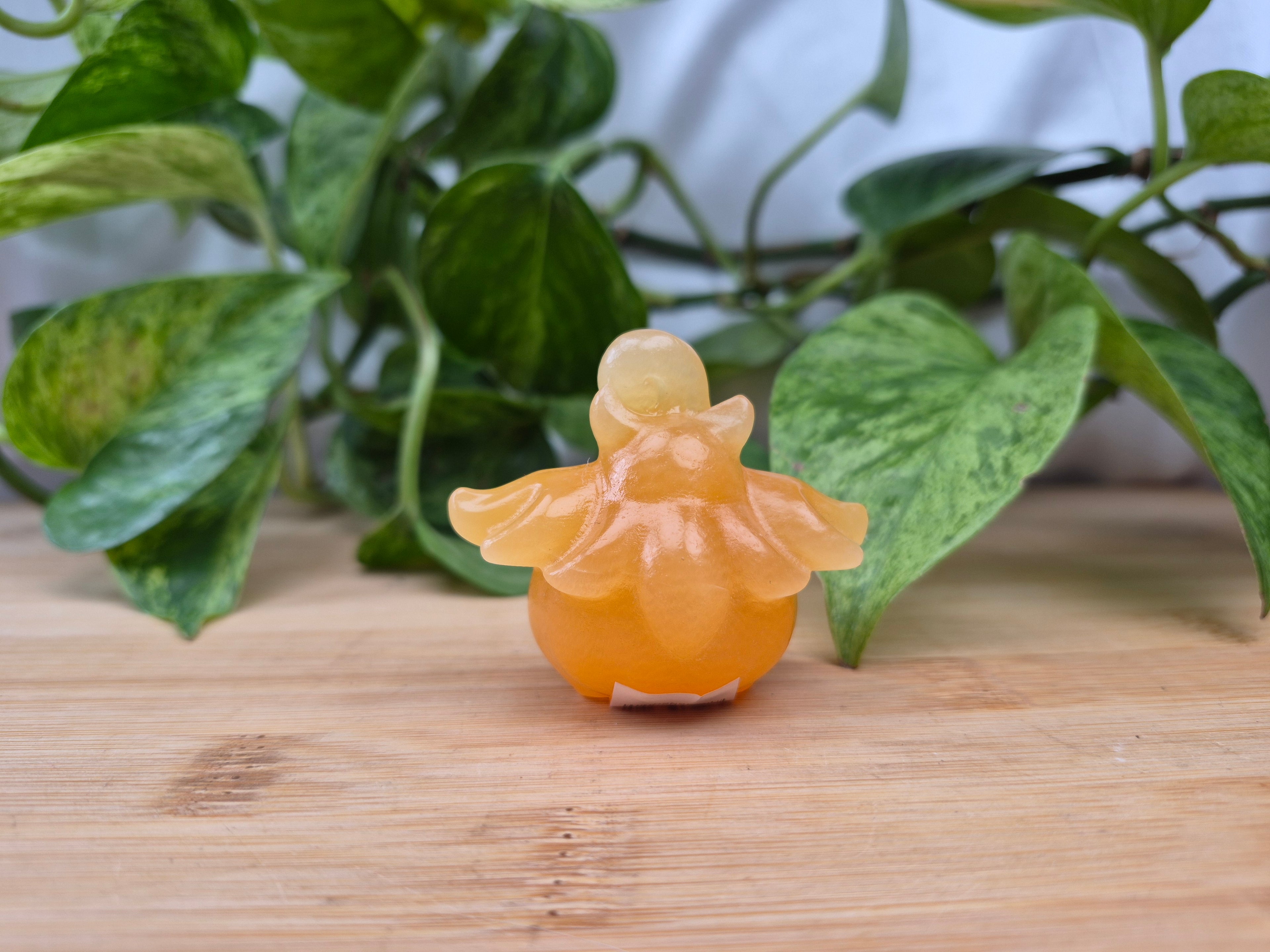 ORANGE CALCITE PUMPKABOO MD