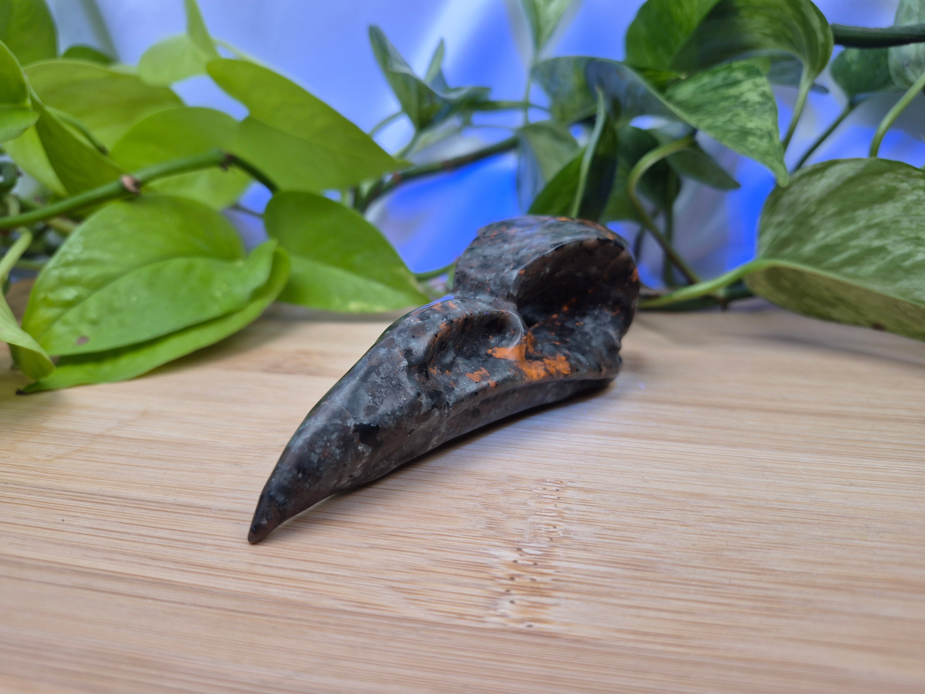 YOOPERLITE BIRD SKULL LARGE