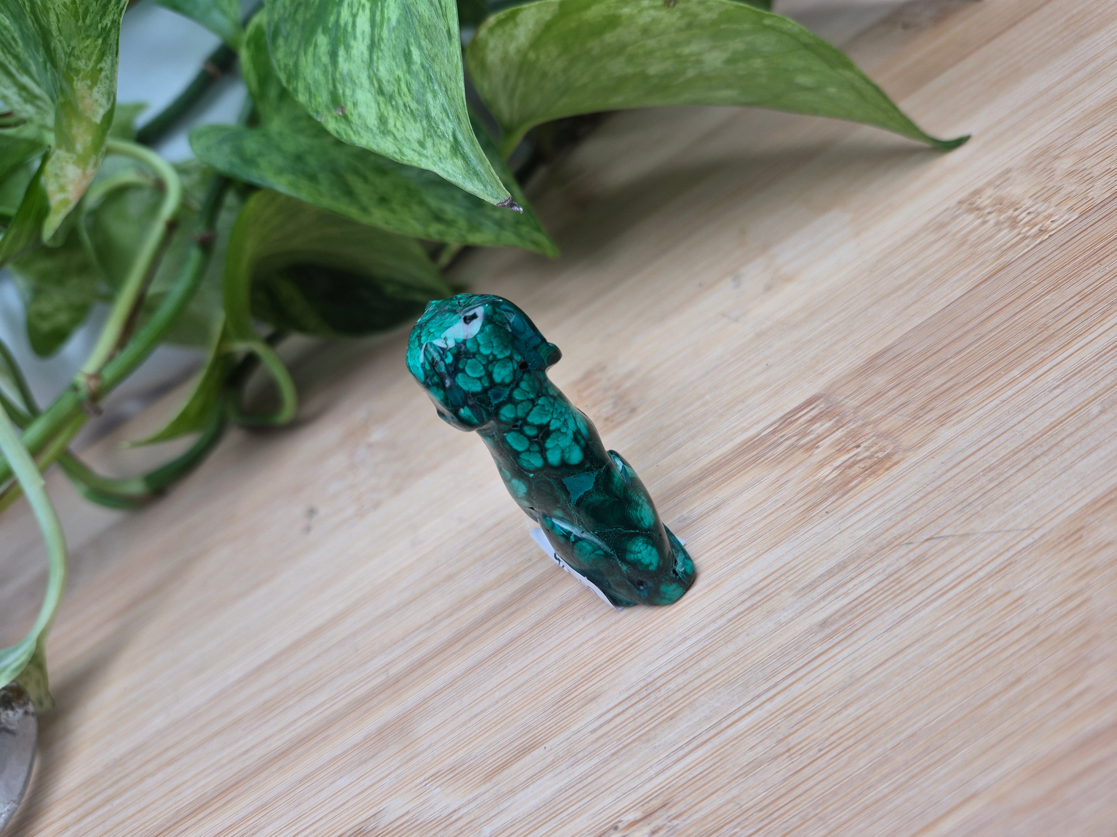 MALACHITE DOG