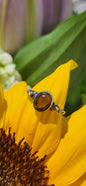 S6.25 TIGER'S EYE RING .925 STERLING SILVER