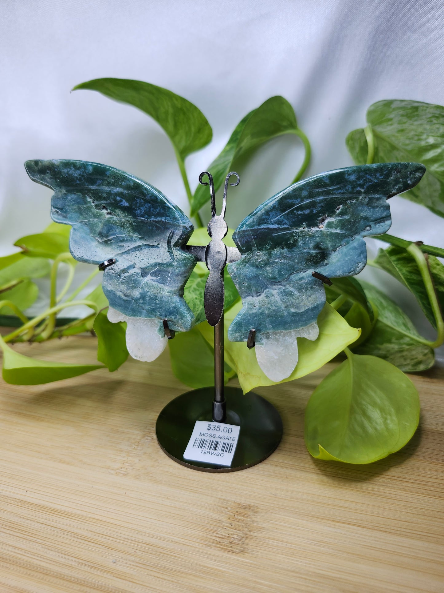 MOSS AGATE BUTTERFLY WINGS