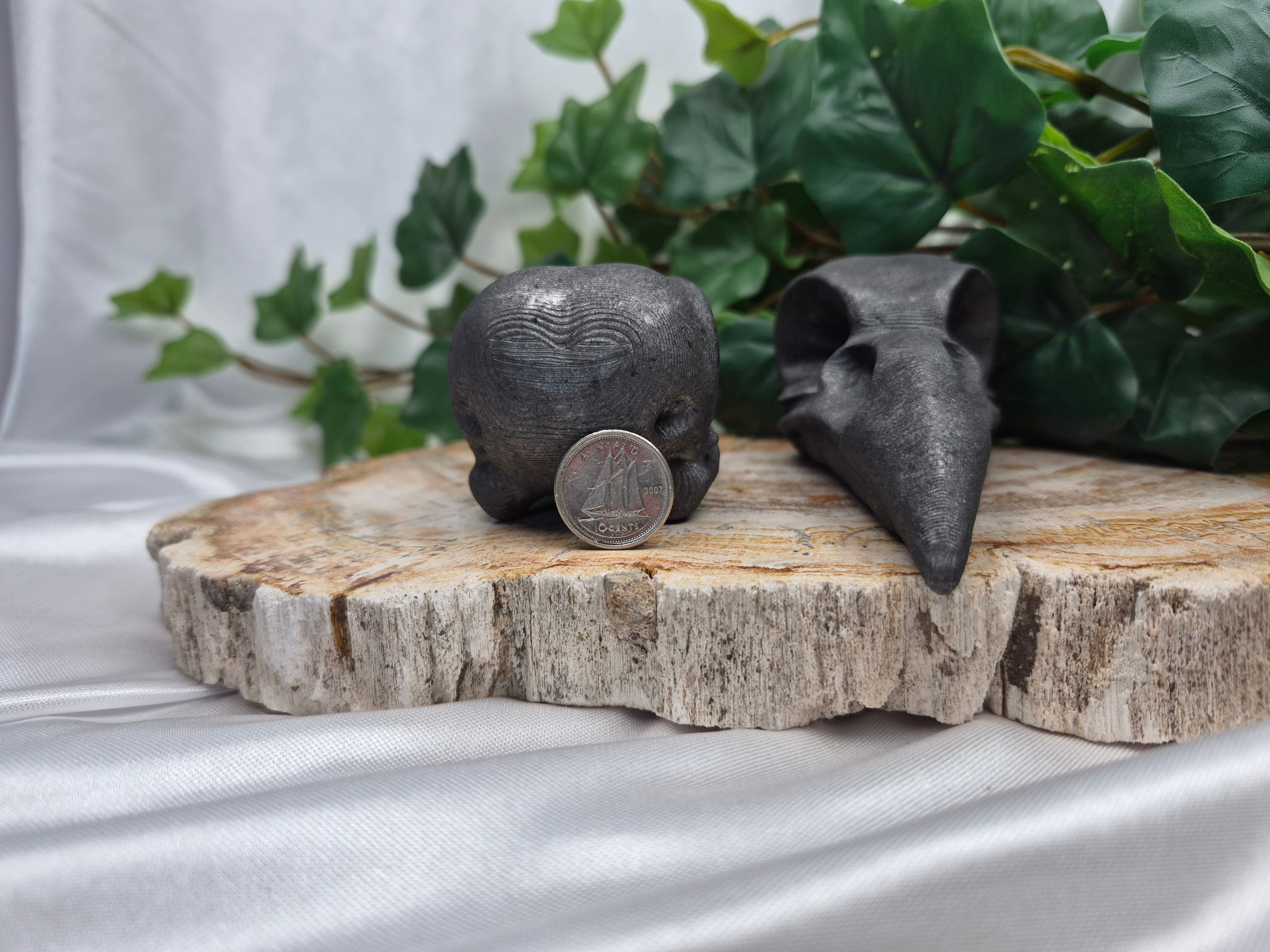 GRAPHITE BIRD SKULL