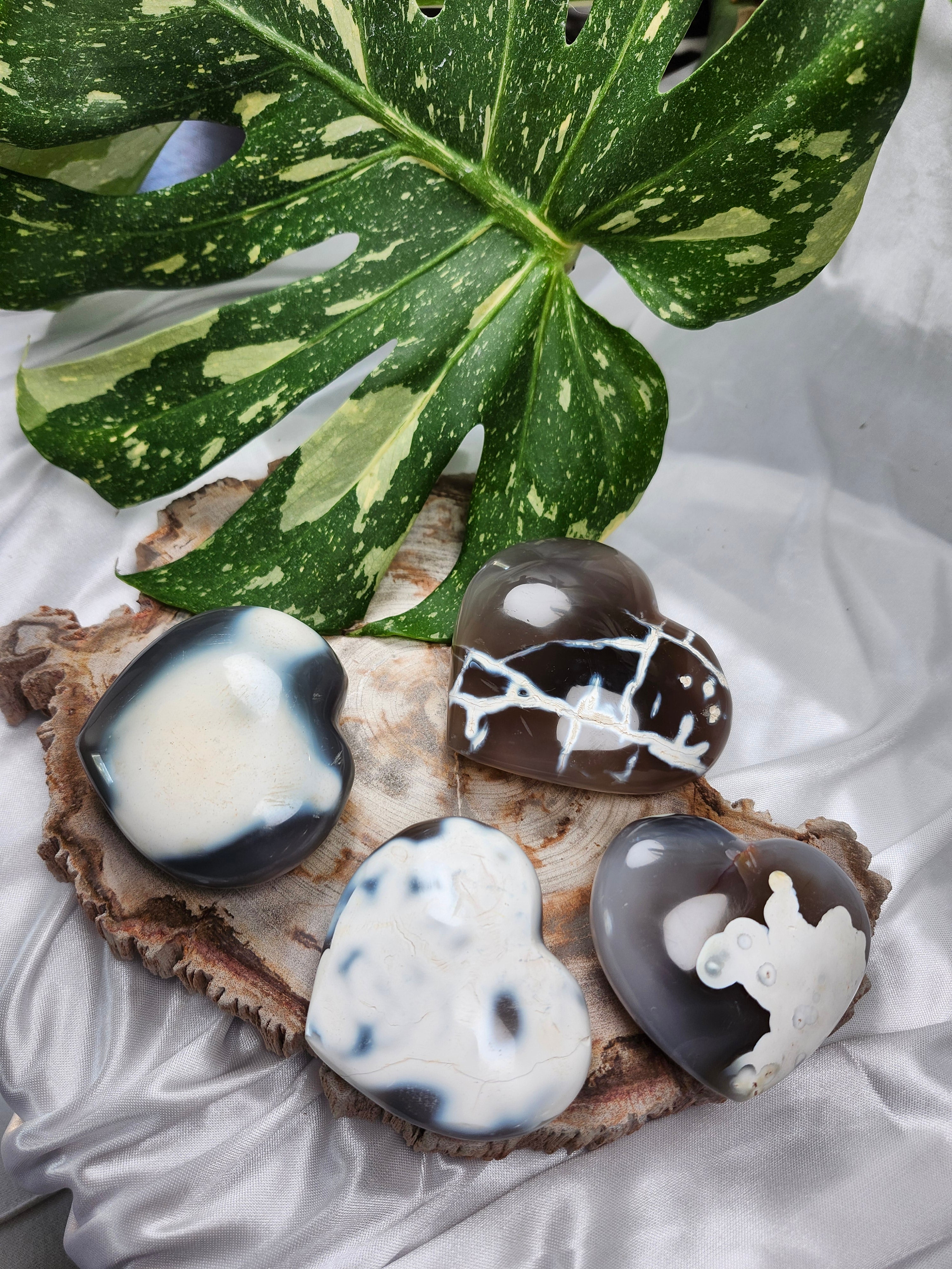 ORCA AGATE HEART MD