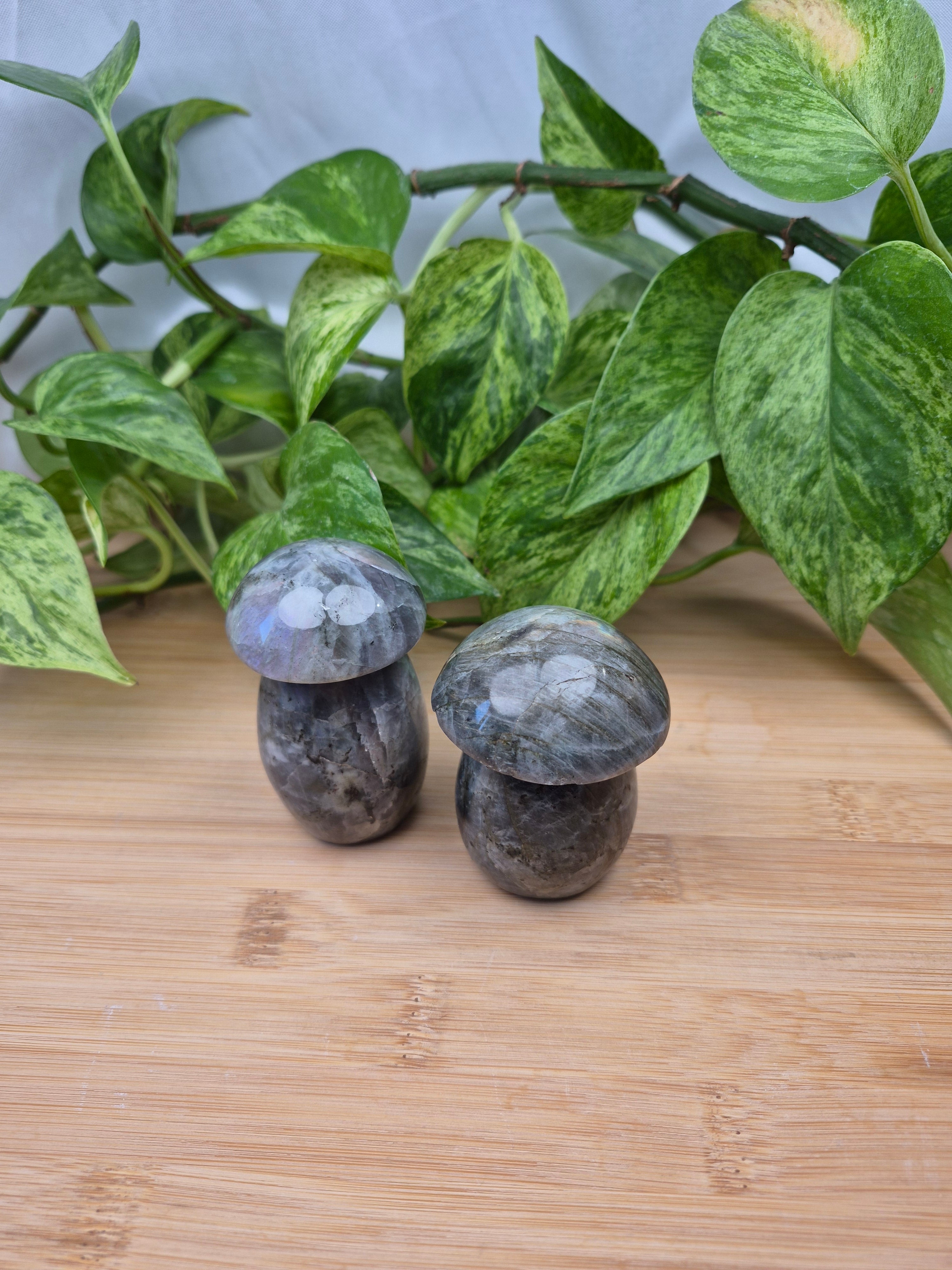 LABRADORITE MUSHROOM