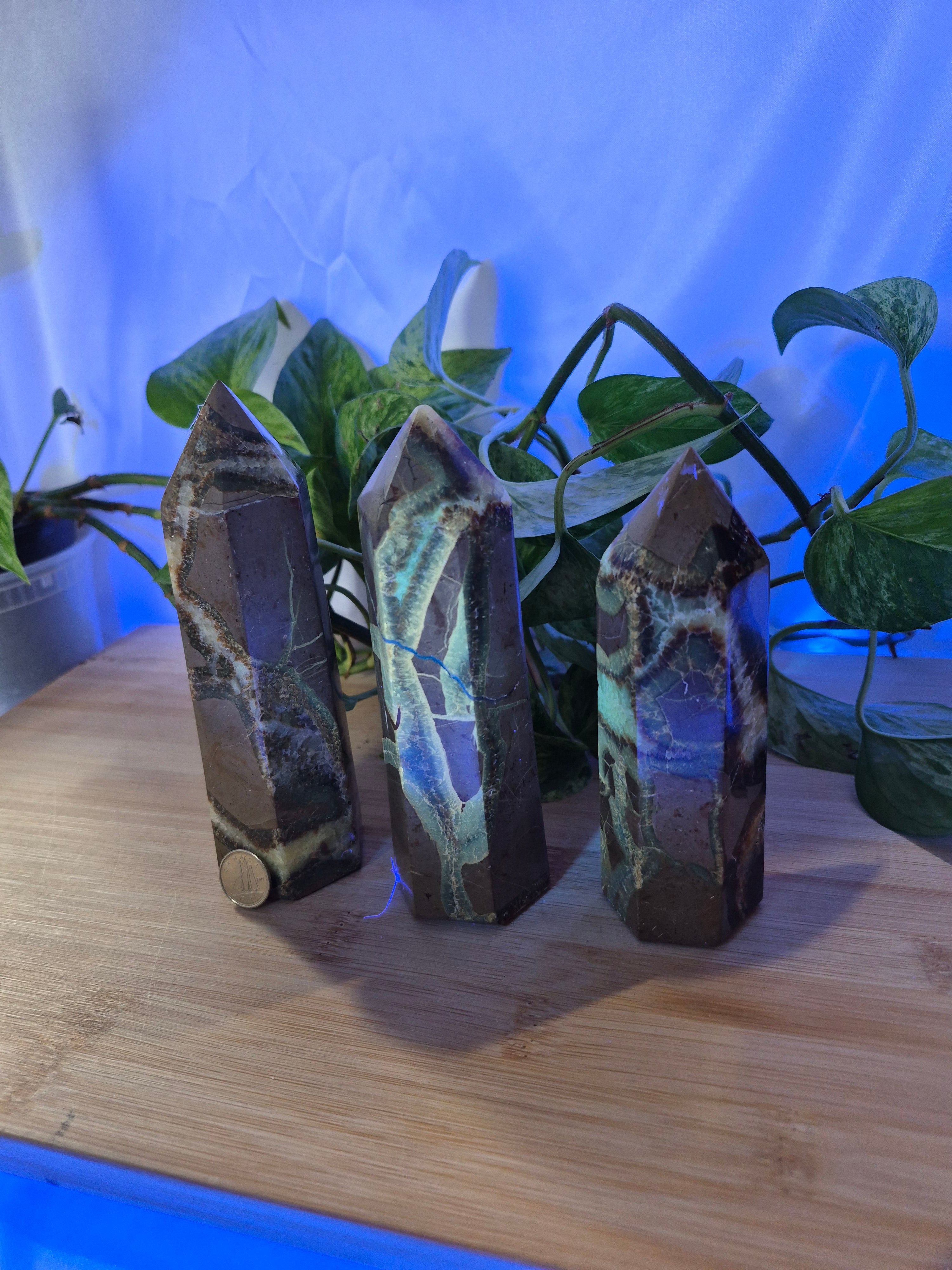 SEPTARIAN TOWER