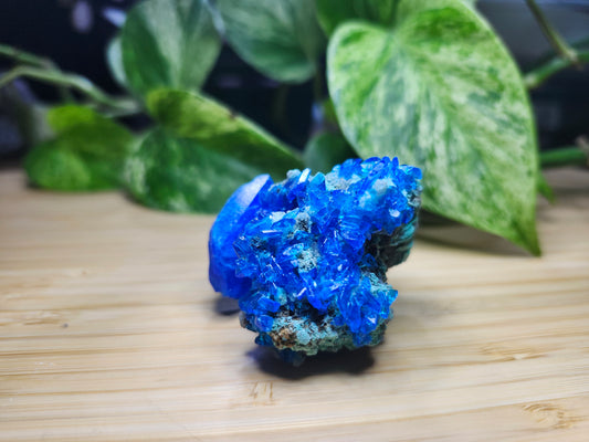 CHALCANTHITE SPECIMEN