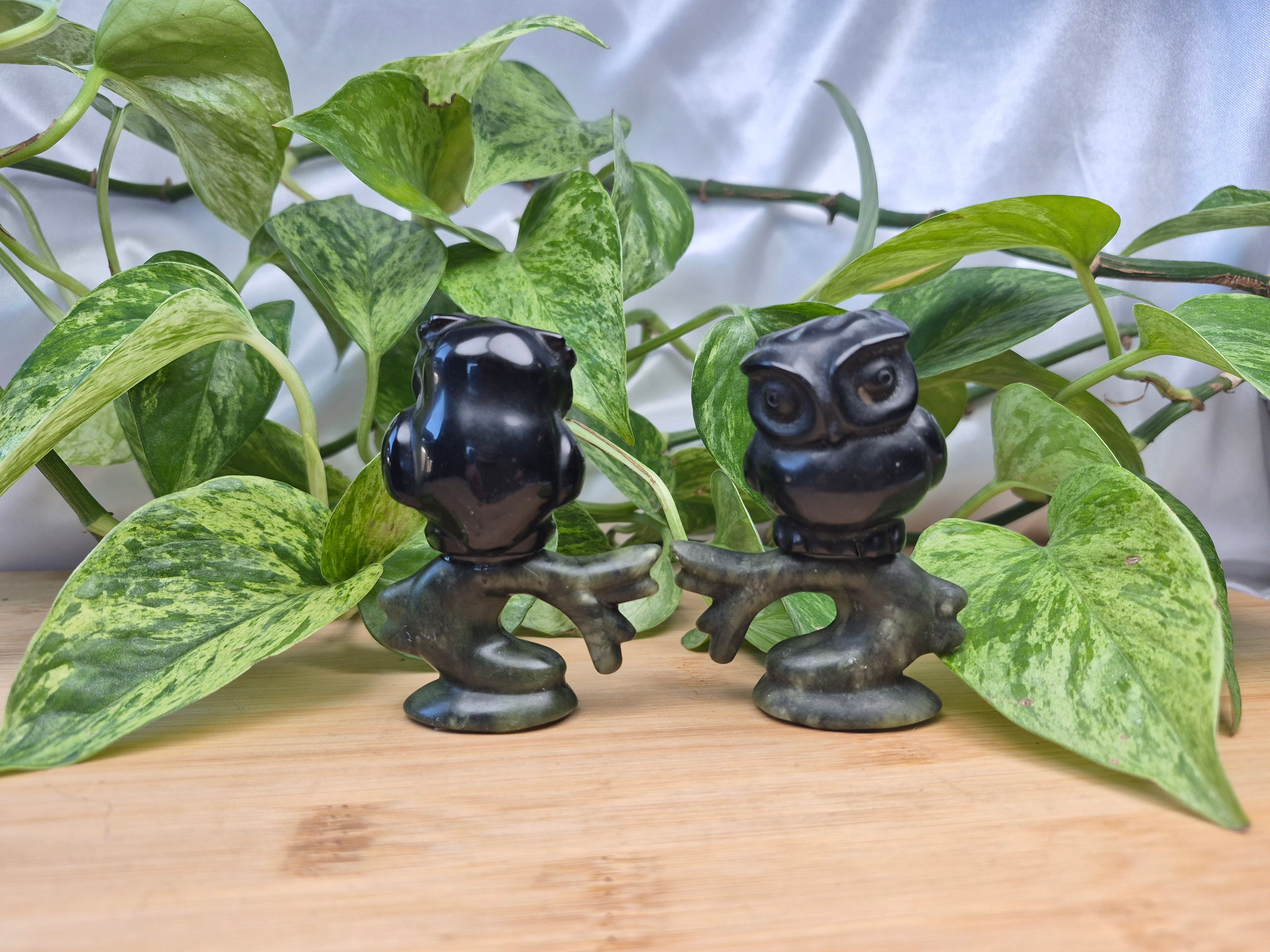 OBSIDIAN AND JADE OWL