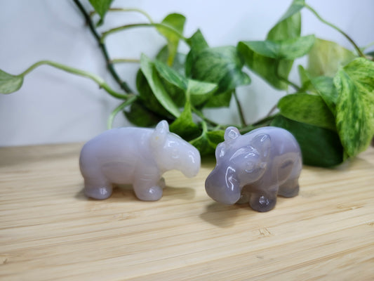 AGATE HIPPO