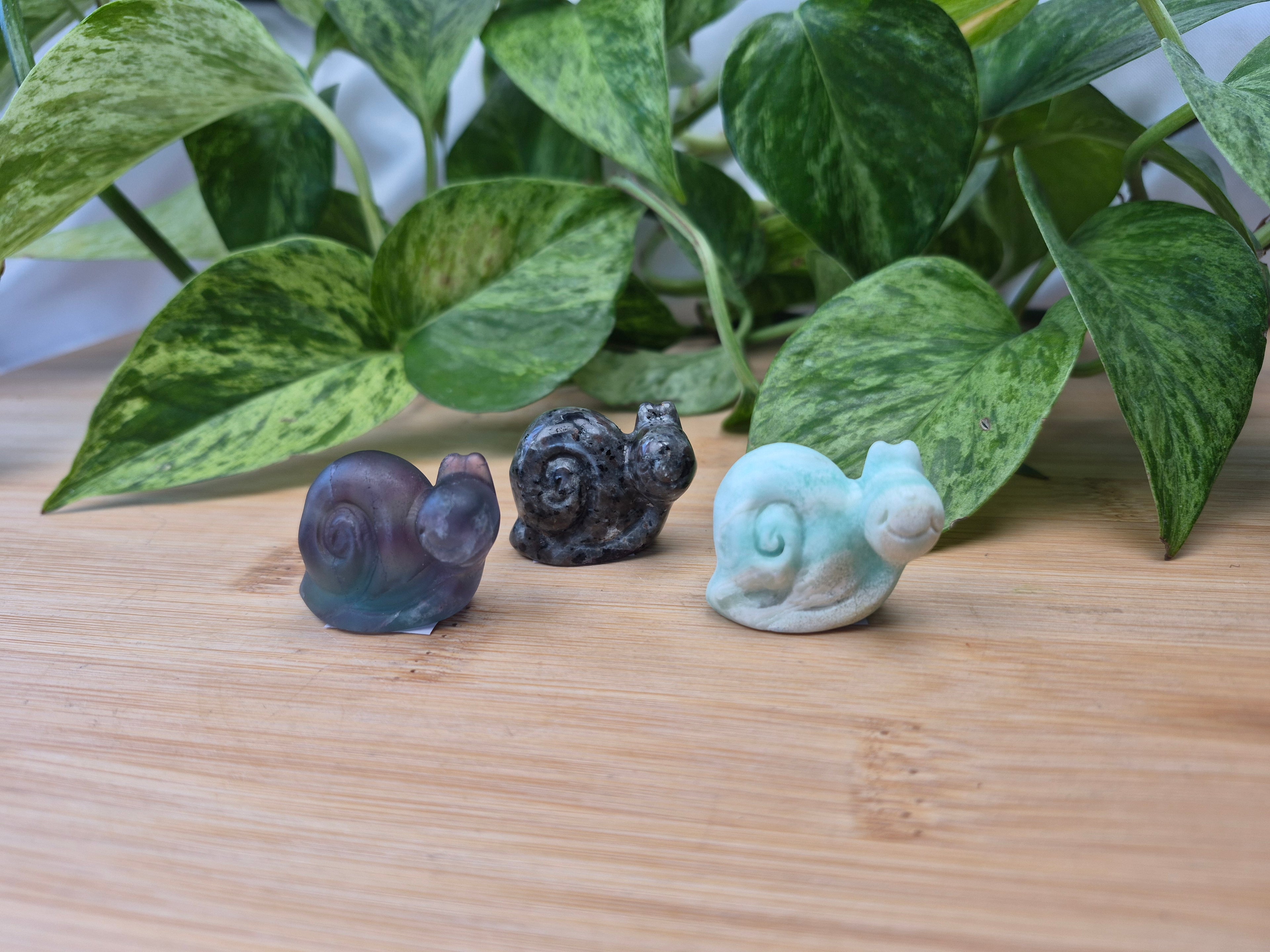 MIXED CRYSTAL SNAIL