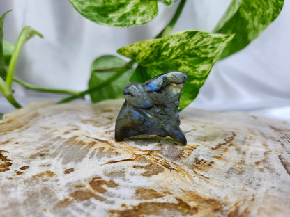 LABRADORITE STINGRAY