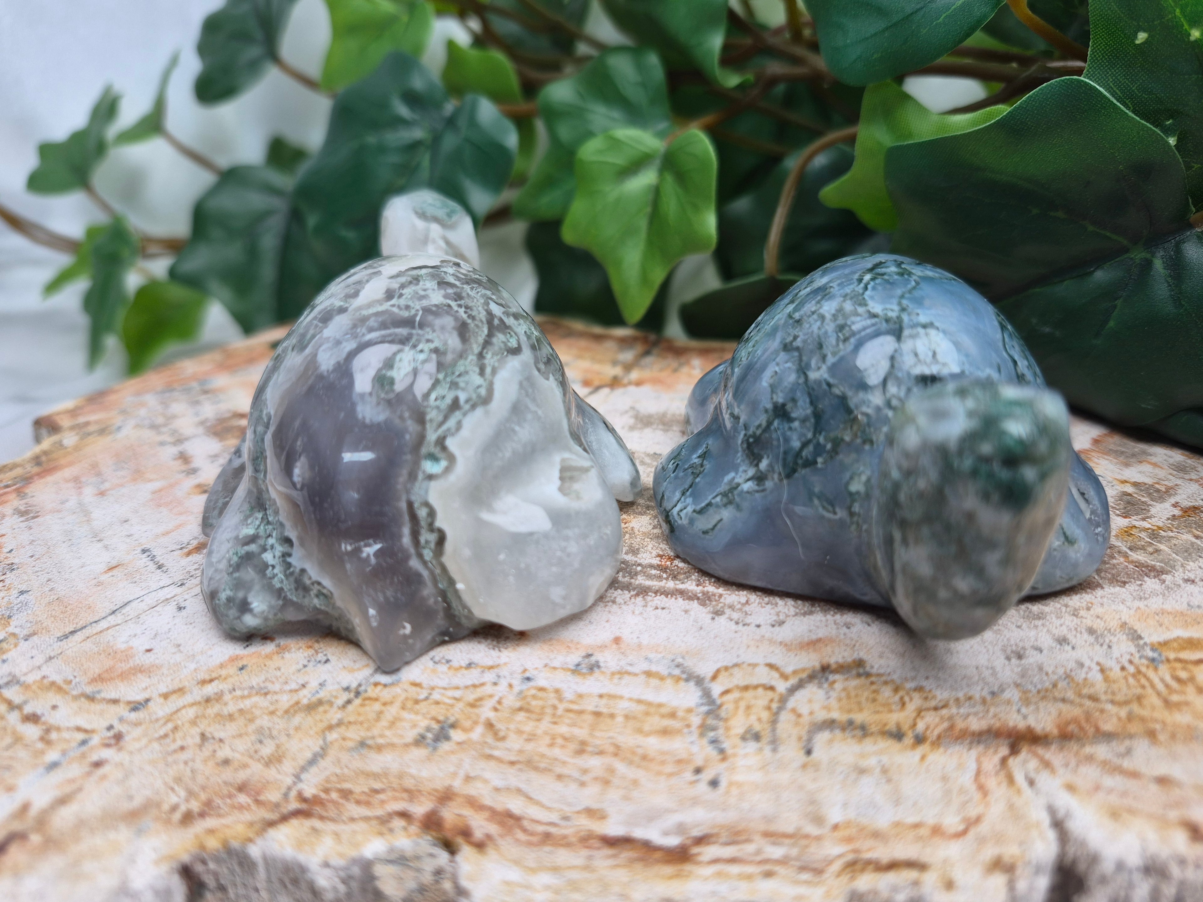 MOSS AGATE TURTLE