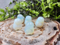 OPALITE QUAGSIRE
