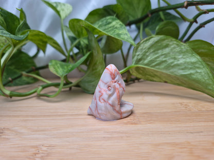 RED VEIN JASPER SHARK HEAD