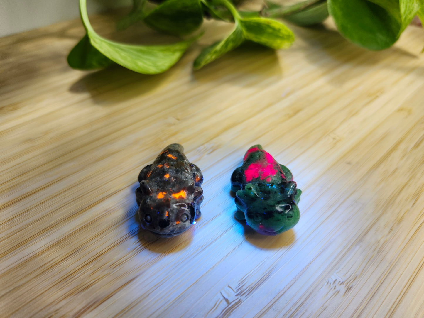 MIXED CRYSTAL AXOLOTL