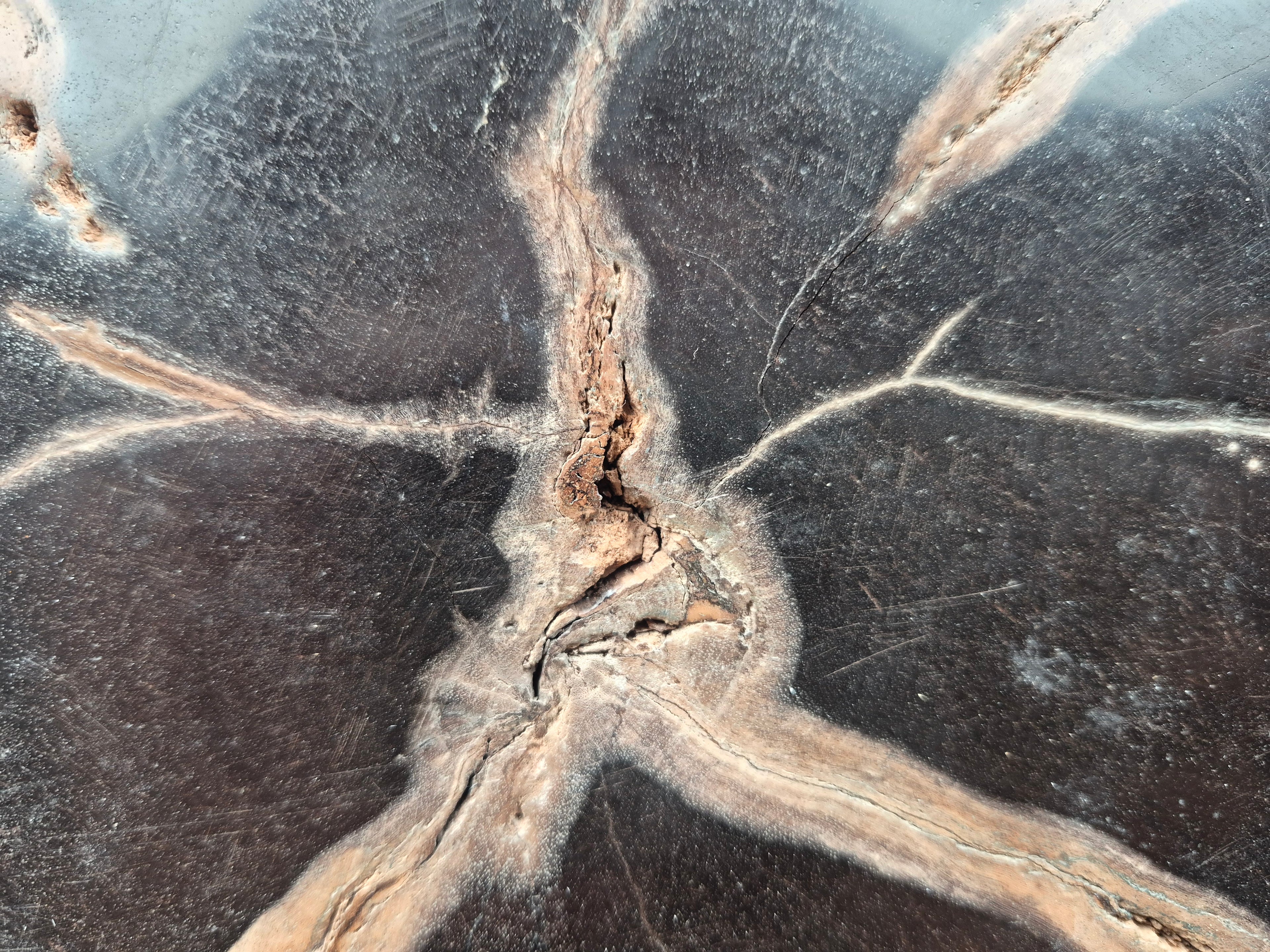 PETRIFIED WOOD SLAB 5