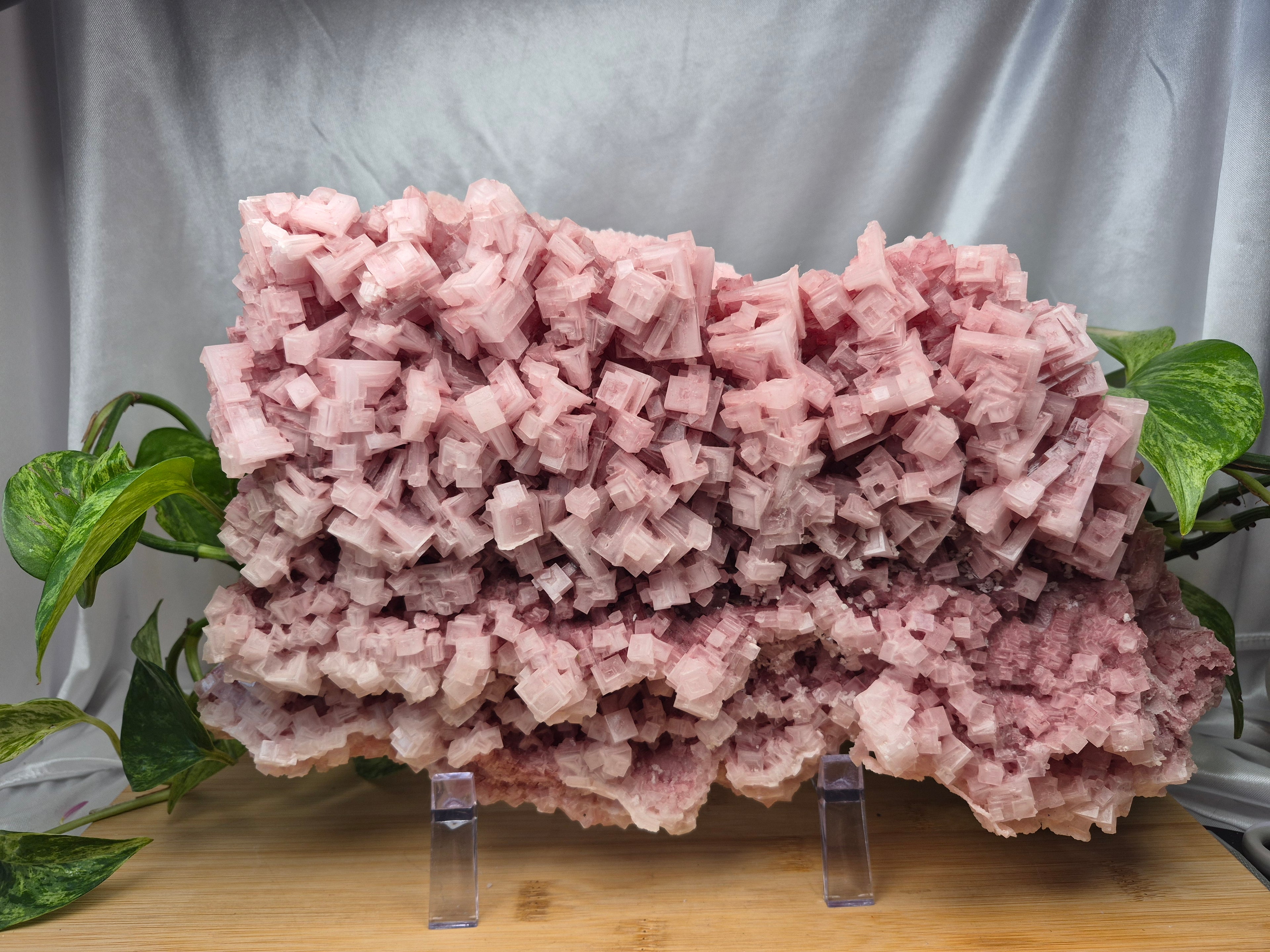 PINK HALITE CLUSTER XL