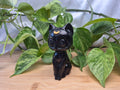 OBSIDIAN LUNA CAT
