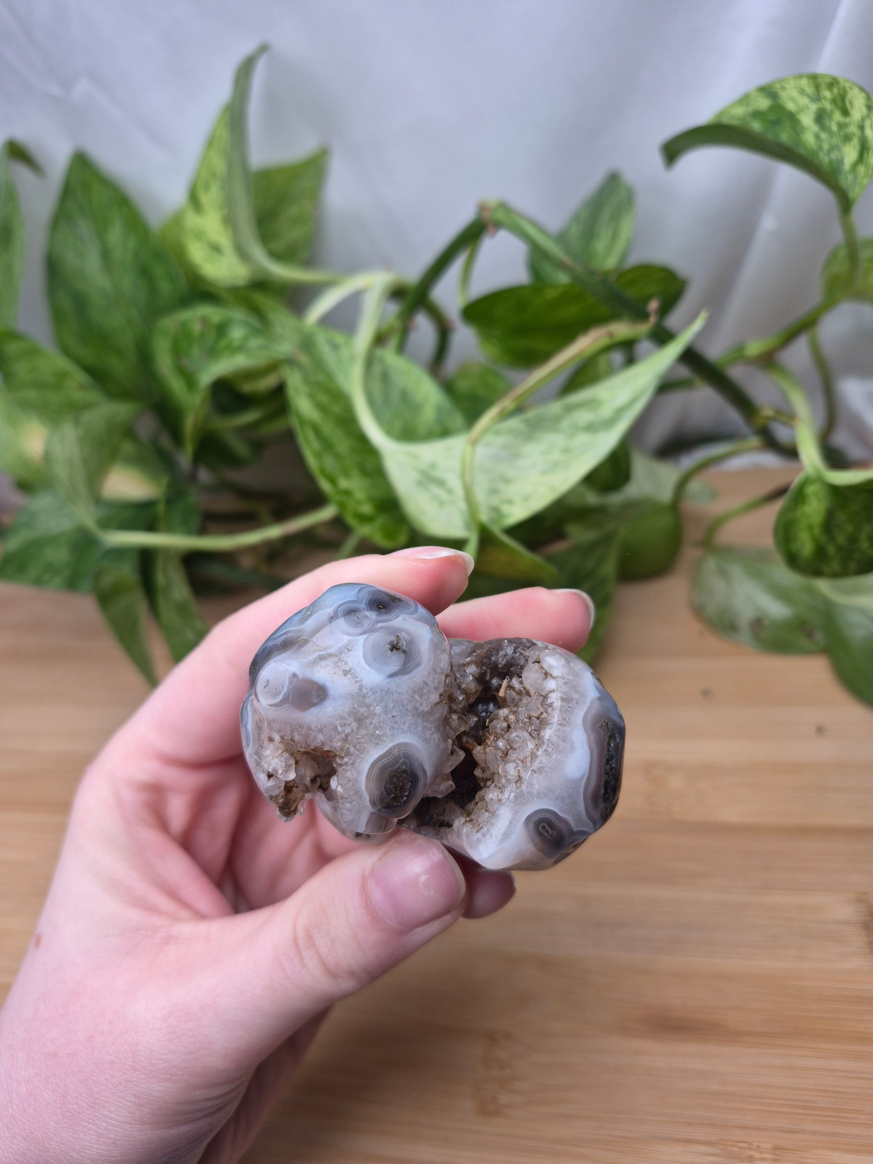 MOSS AGATE BULBASAUR MD