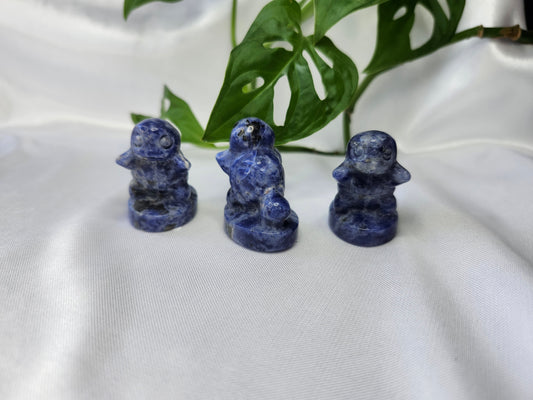 SODALITE SQUIRTLE