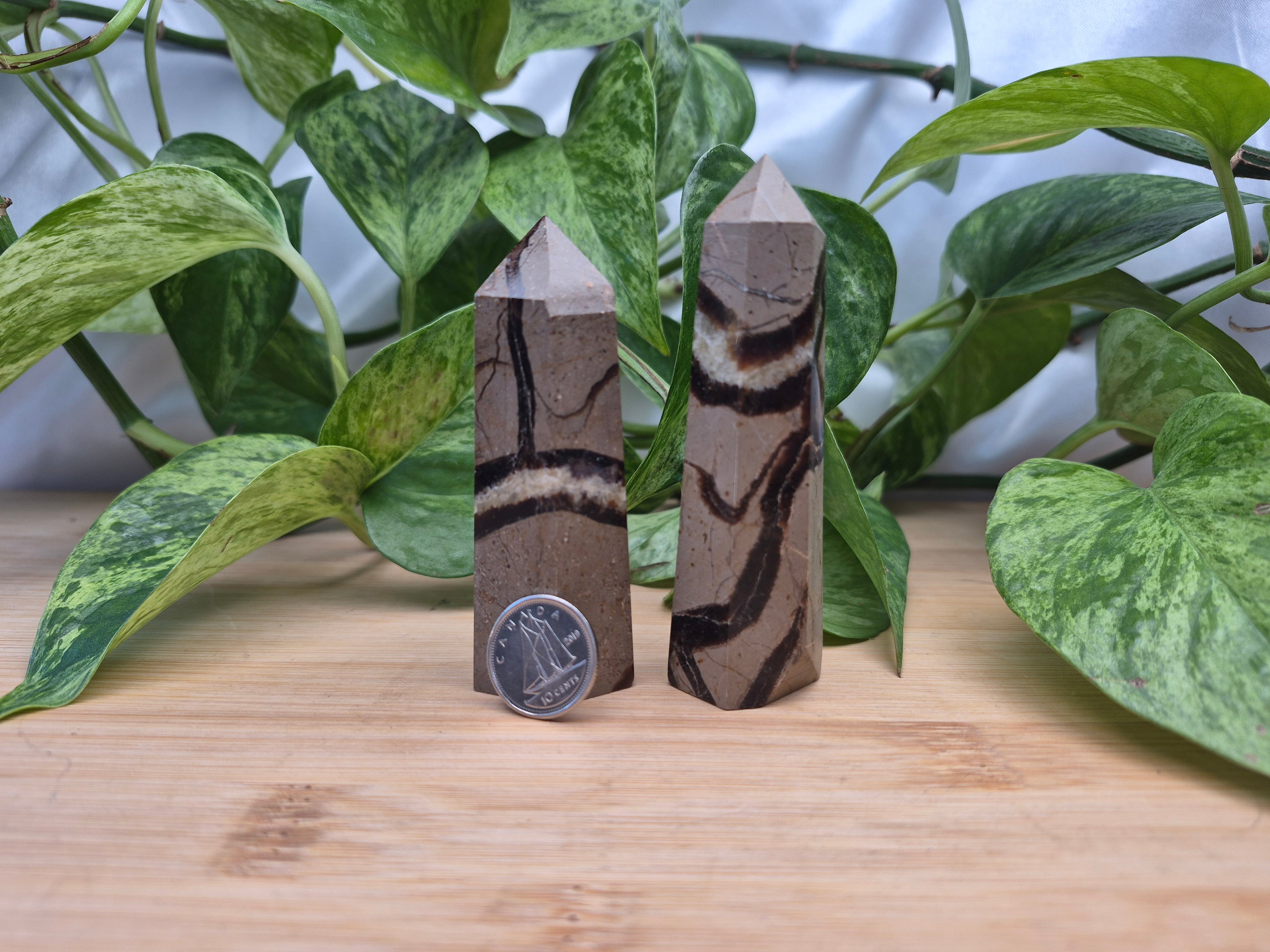 SEPTARIAN TOWER