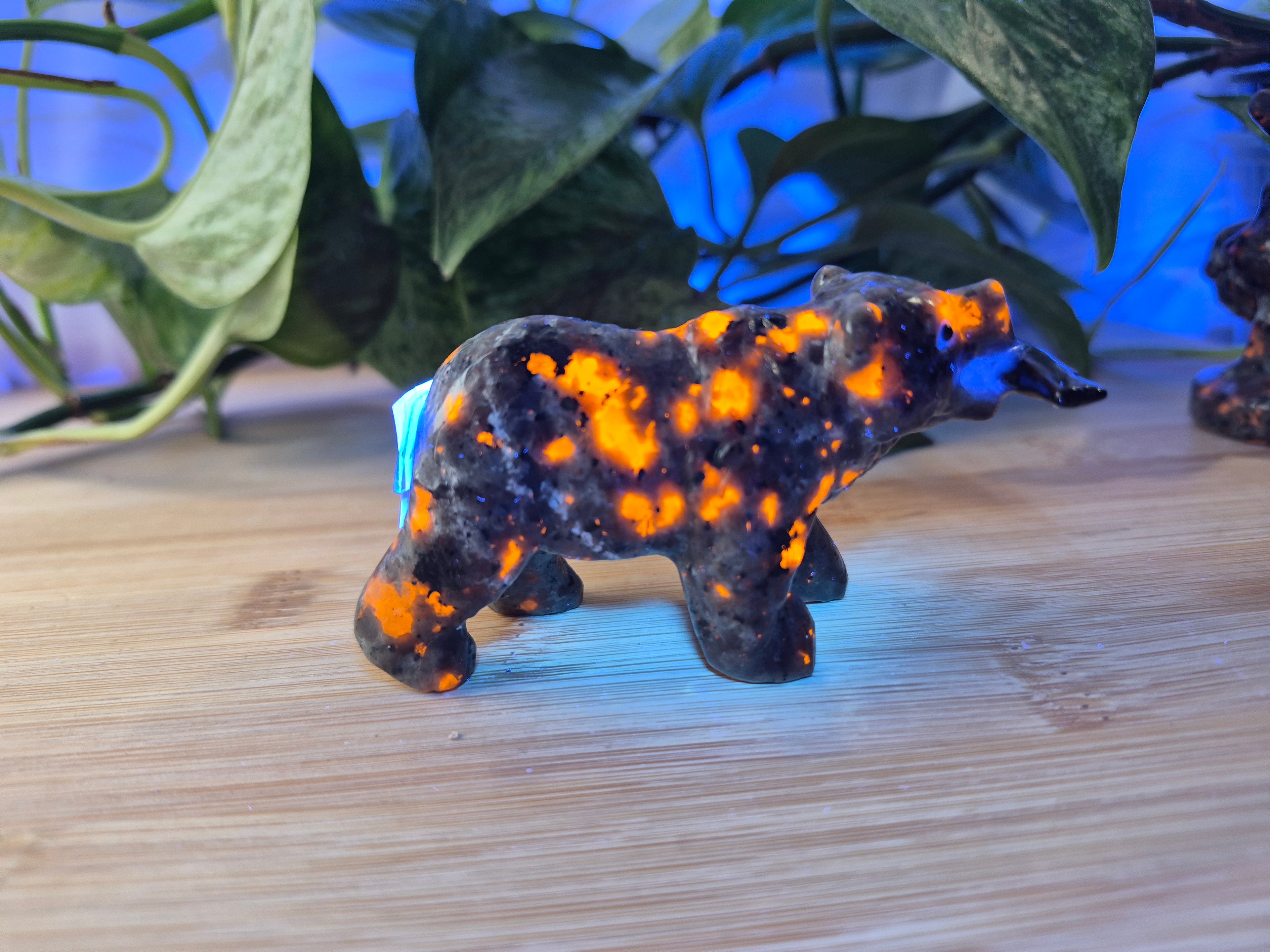 YOOPERLITE BEAR WITH FISH