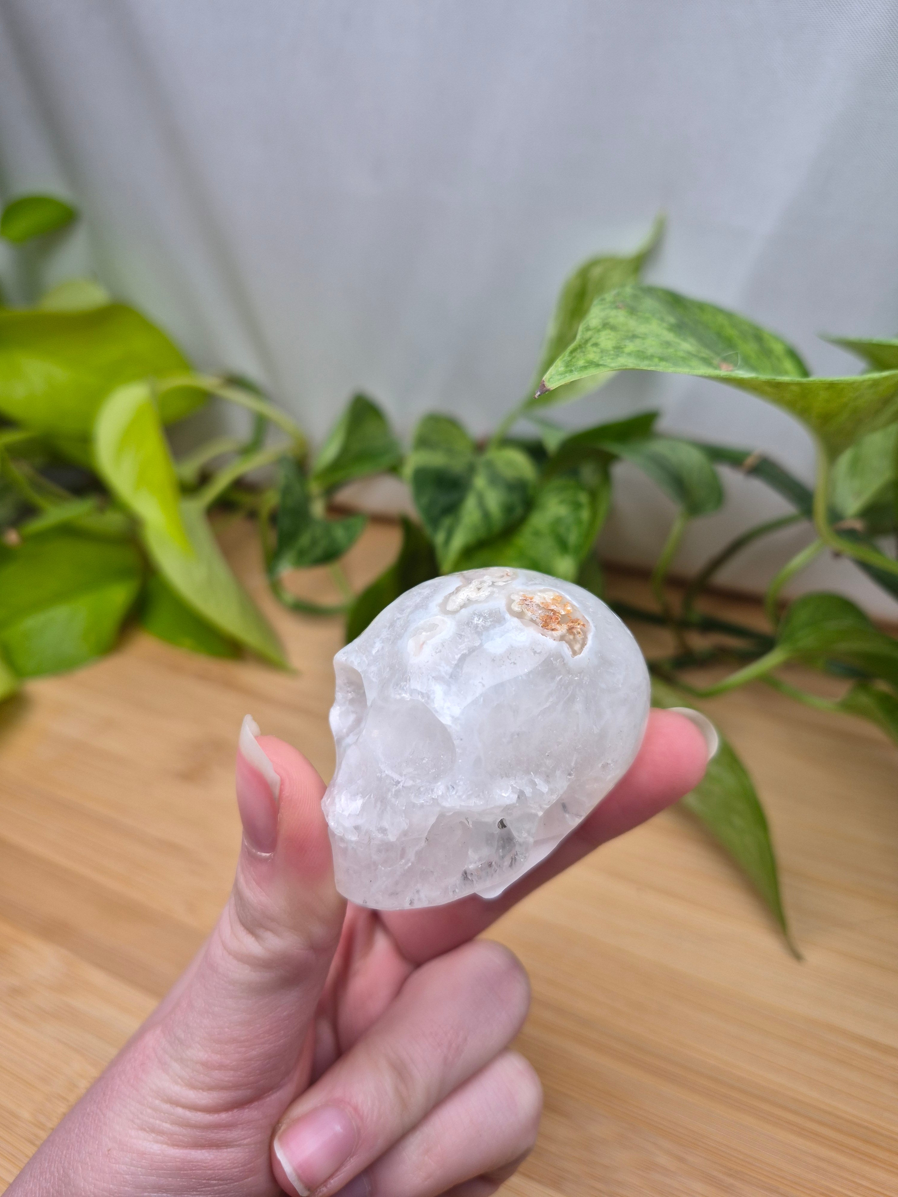 MOSS AGATE SKULL MD