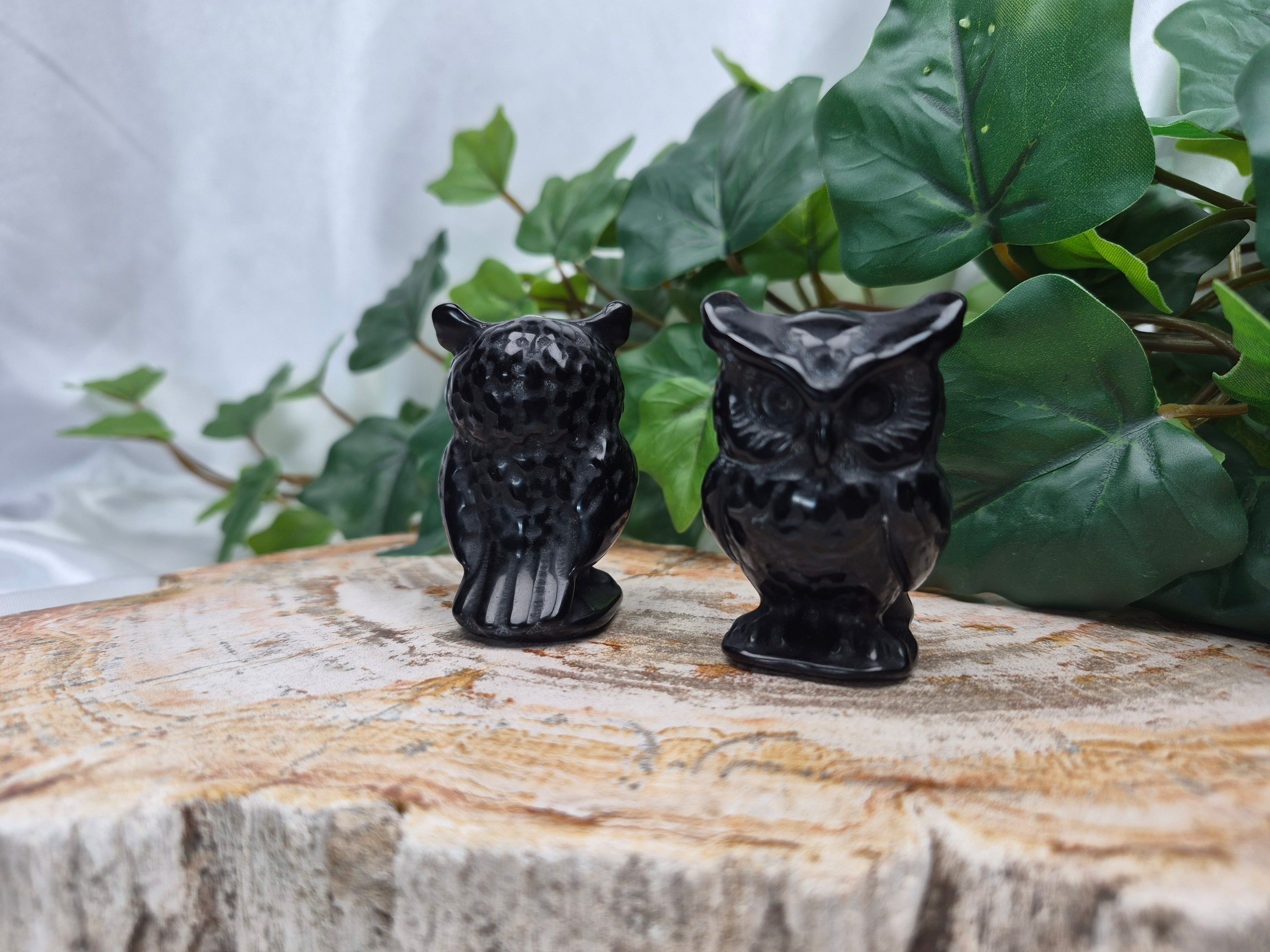 OBSIDIAN OWL