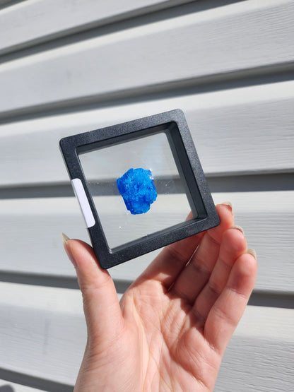 CHALCANTHITE SPECIMEN #3
