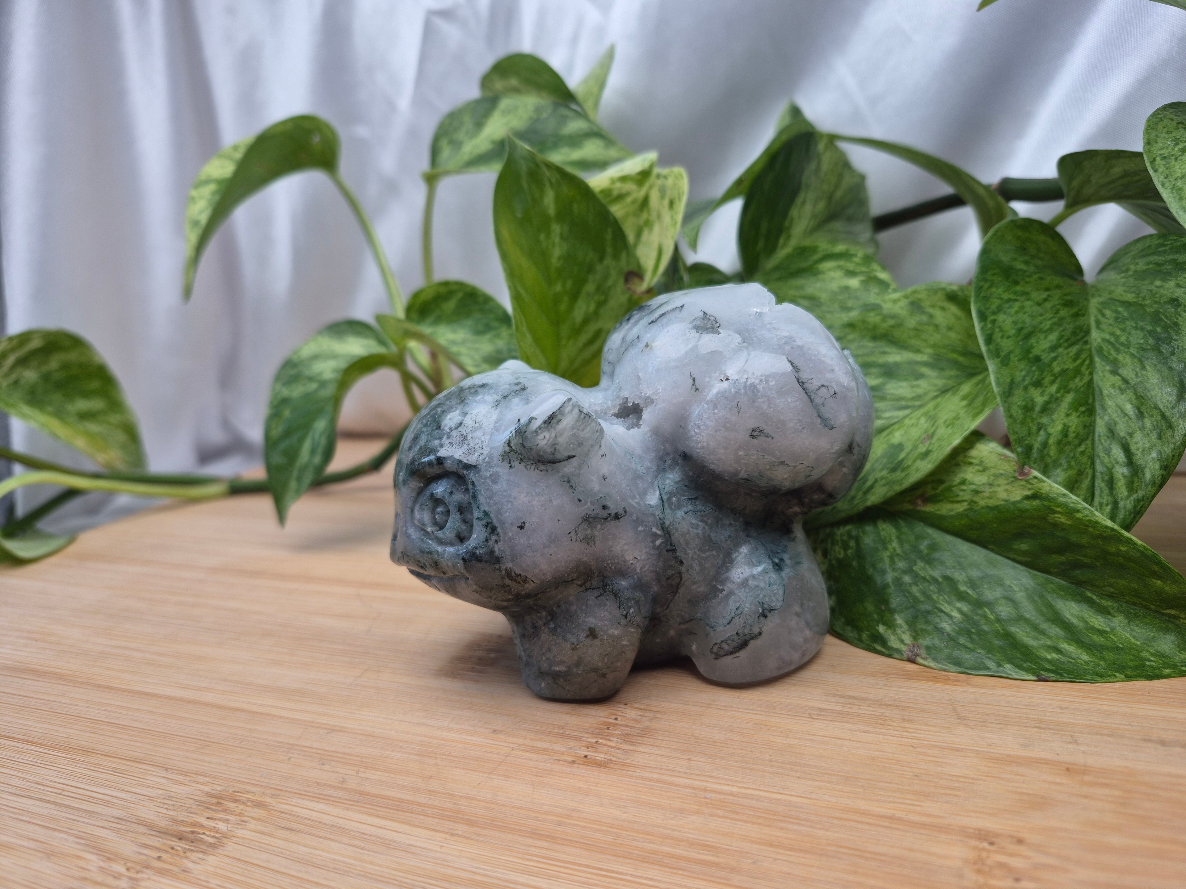 MOSS AGATE BULBASAUR