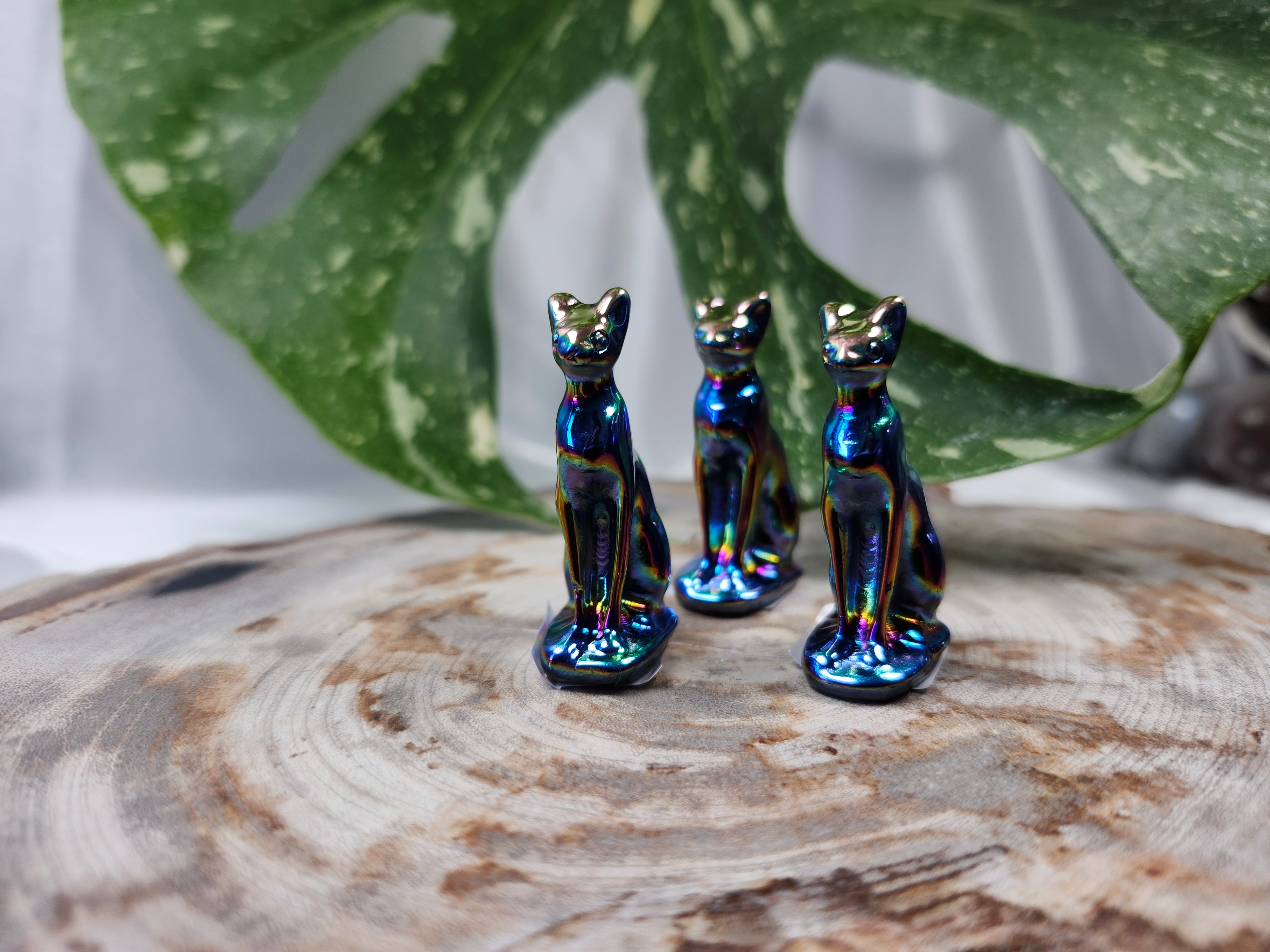 AURA COATED OBSIDIAN CAT