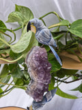BLUE AVENTURINE PARROT ON AMETHYST BASE