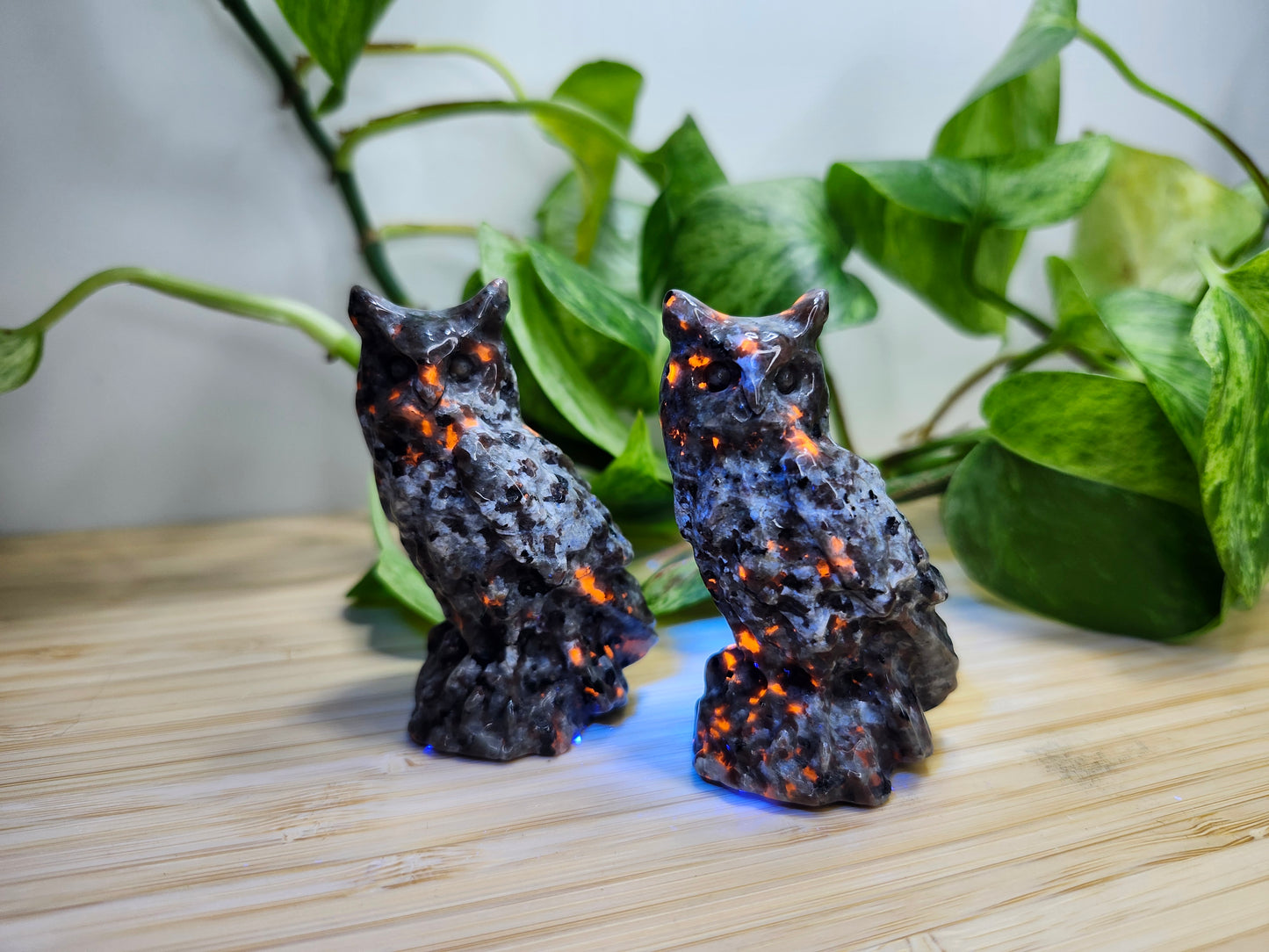 YOOPERLITE OWL