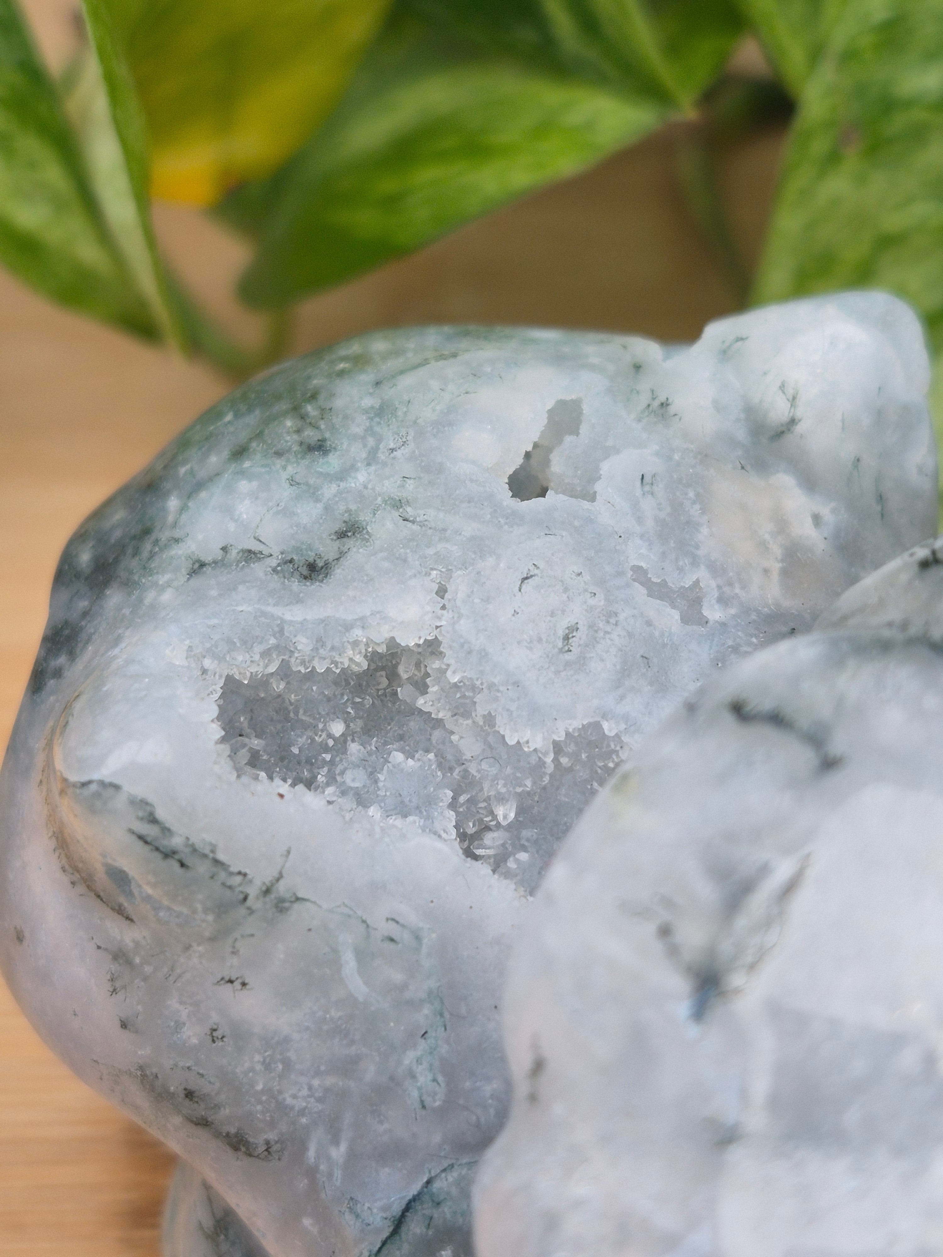 MOSS AGATE BULBASAUR