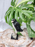 ONYX PENGUIN ON PYRITE STAND