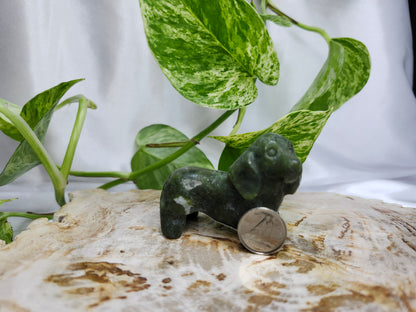 JADE DACHSHUND DOG