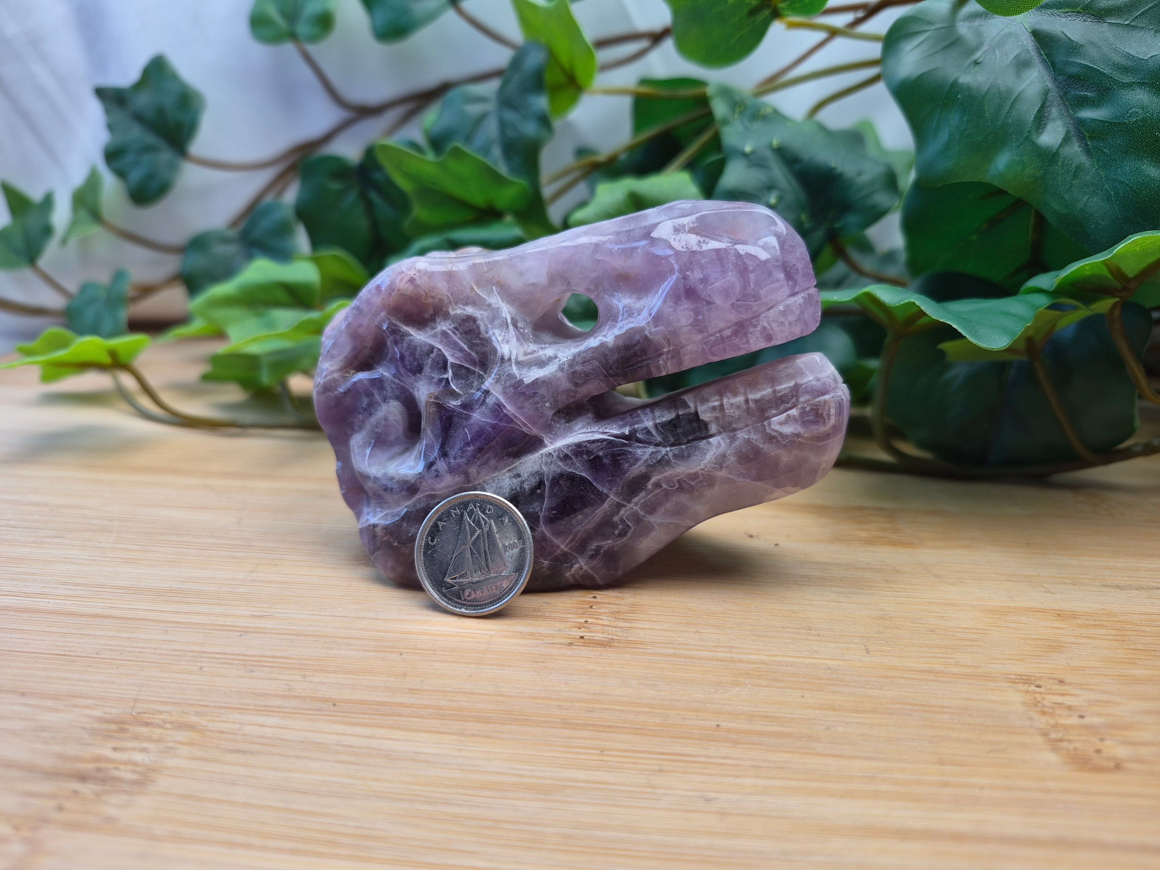AMETHYST TREX SKULL