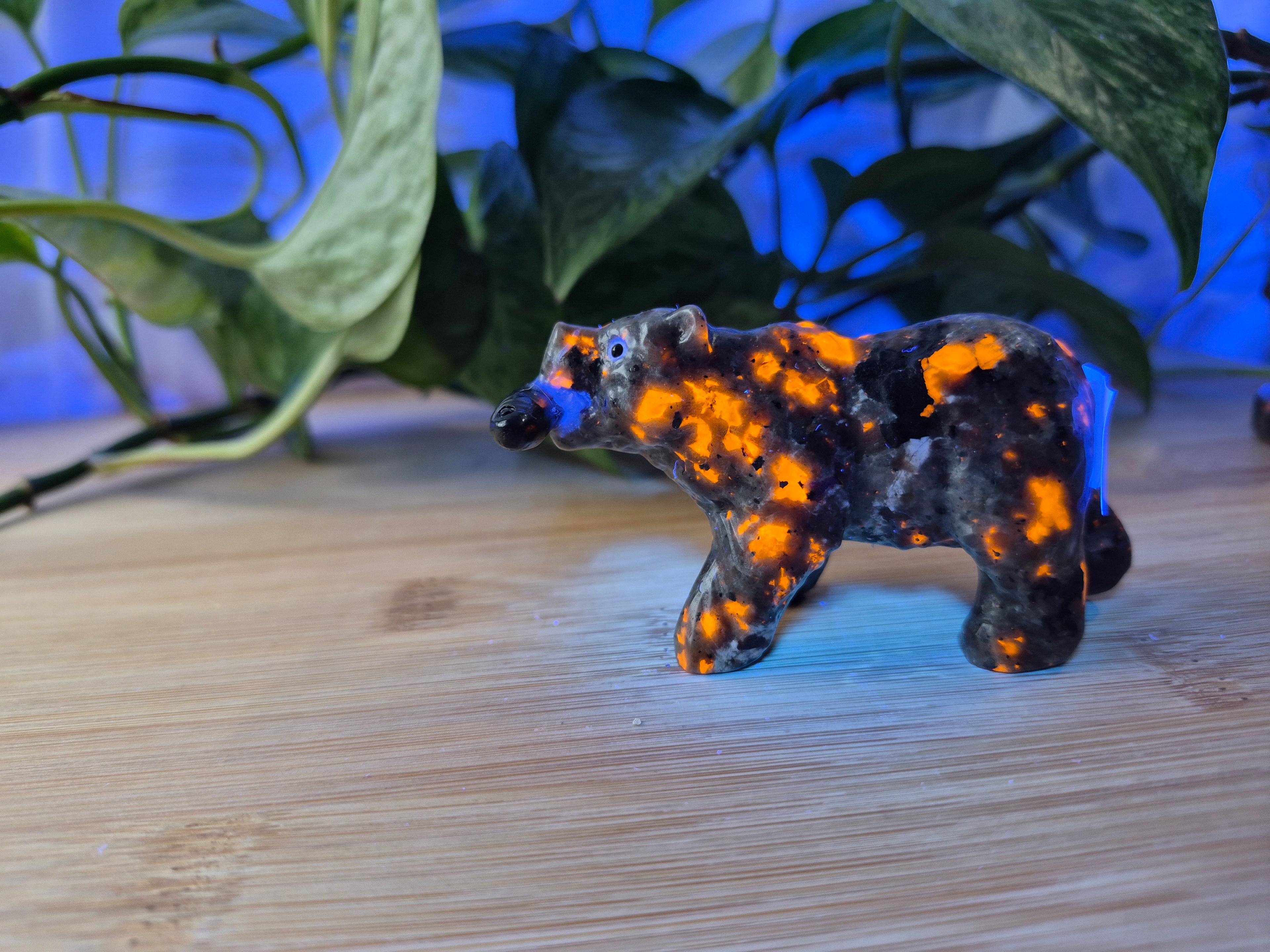 YOOPERLITE BEAR WITH FISH