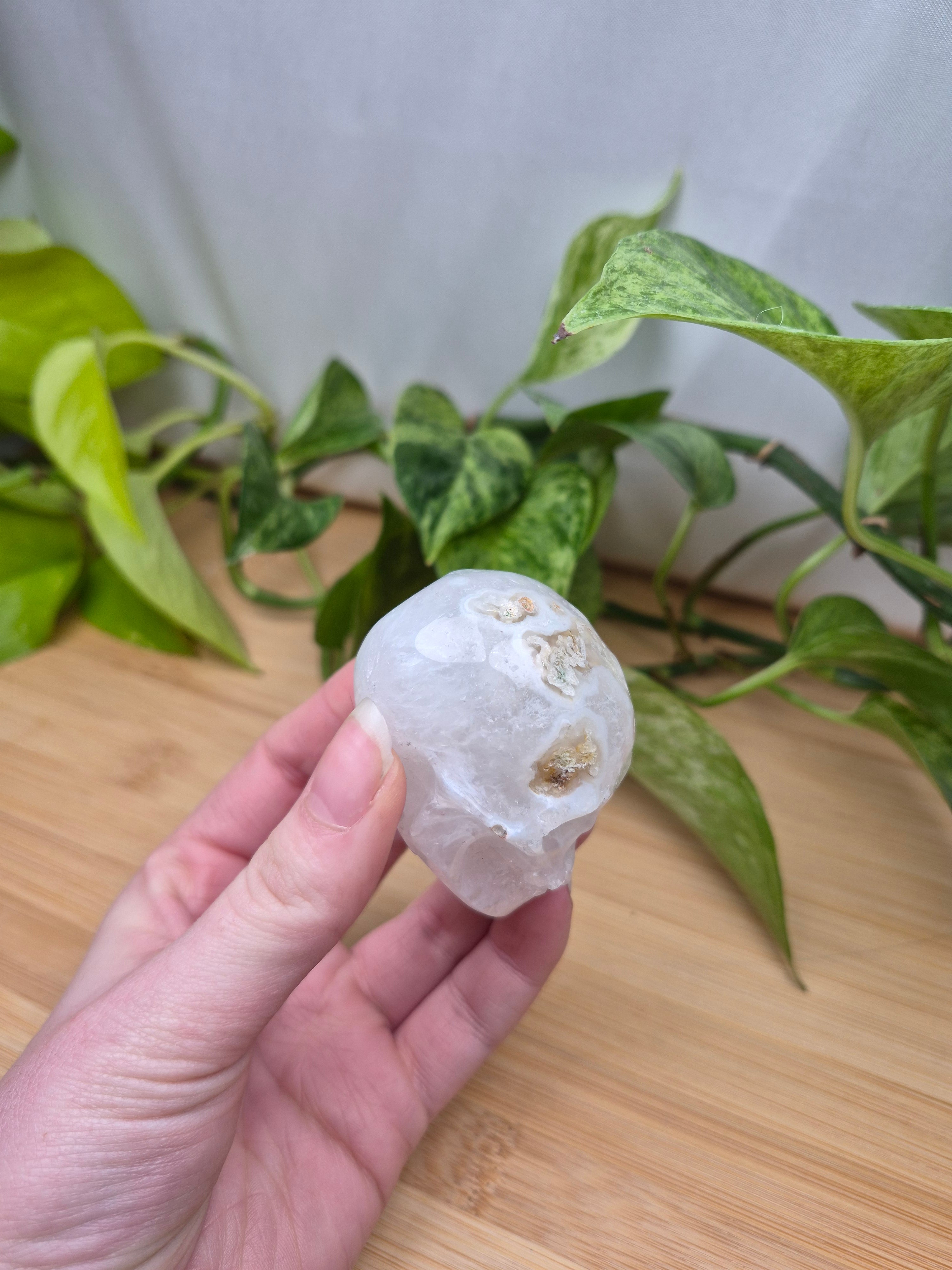 MOSS AGATE SKULL MD